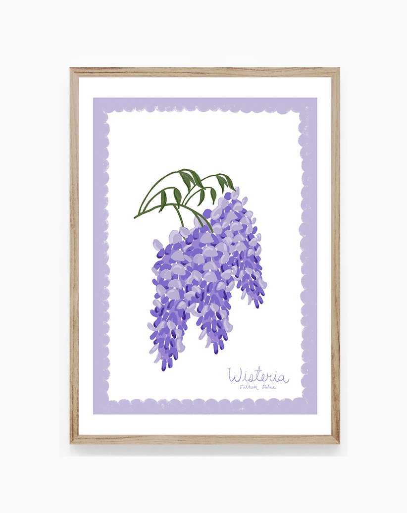 Wisteria of Fulham Palace