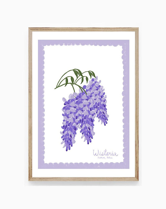 Wisteria of Fulham Palace