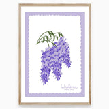 Wisteria of Fulham Palace